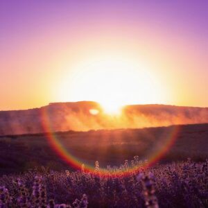 Avalon Spinal Flow Healing Retreat